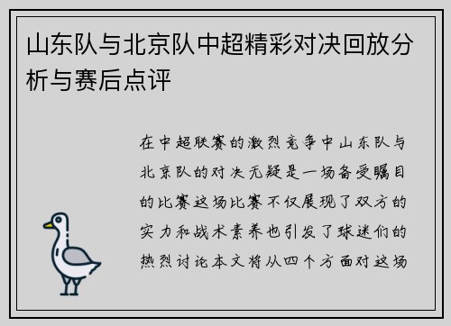 山东队与北京队中超精彩对决回放分析与赛后点评